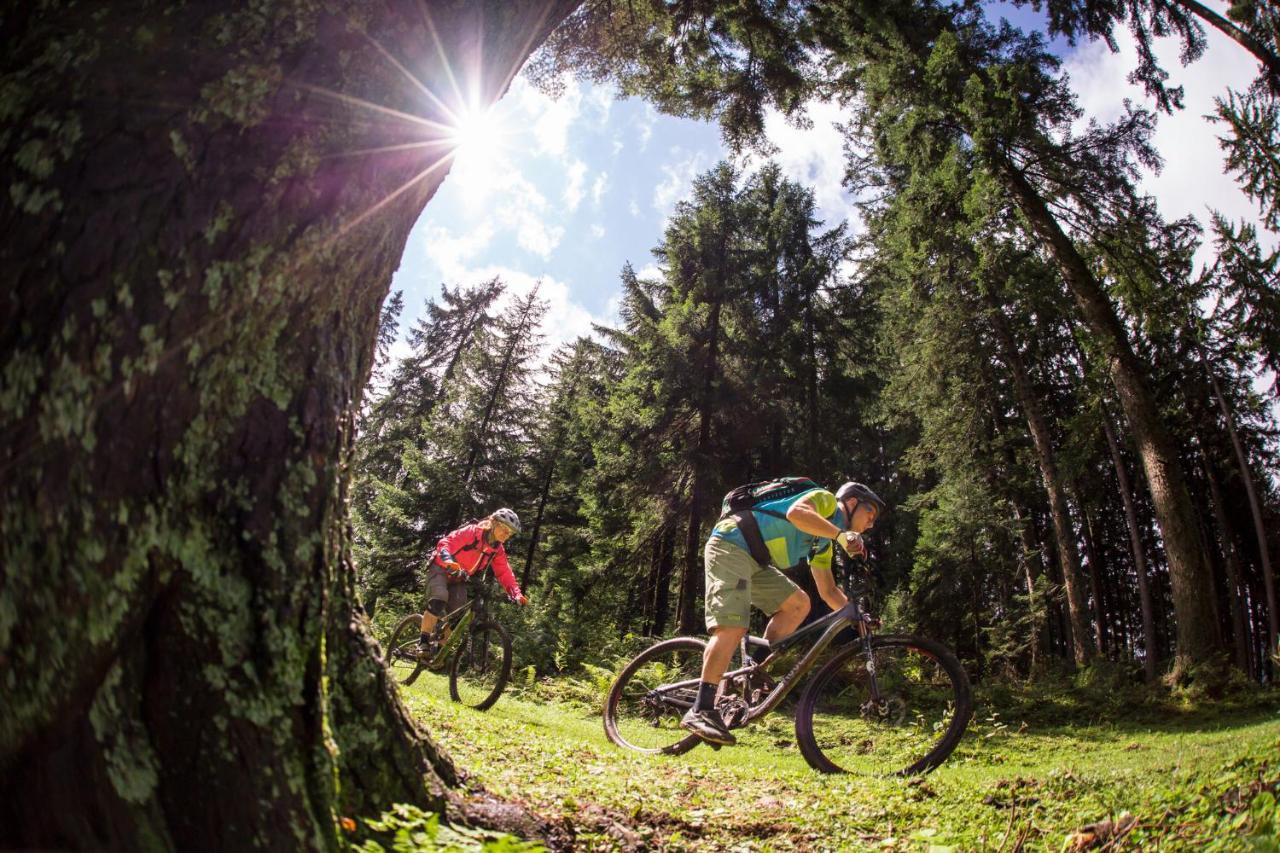 Fischerwirt Waldspa 4* Faistenau